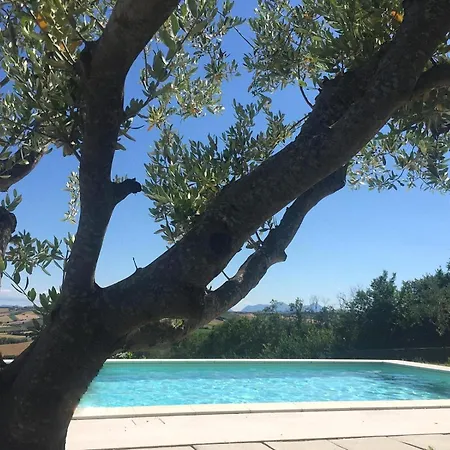 Colle, Piscina E Relax Immersa Nelle Colline * Barbara (Pesaro and Urbino)